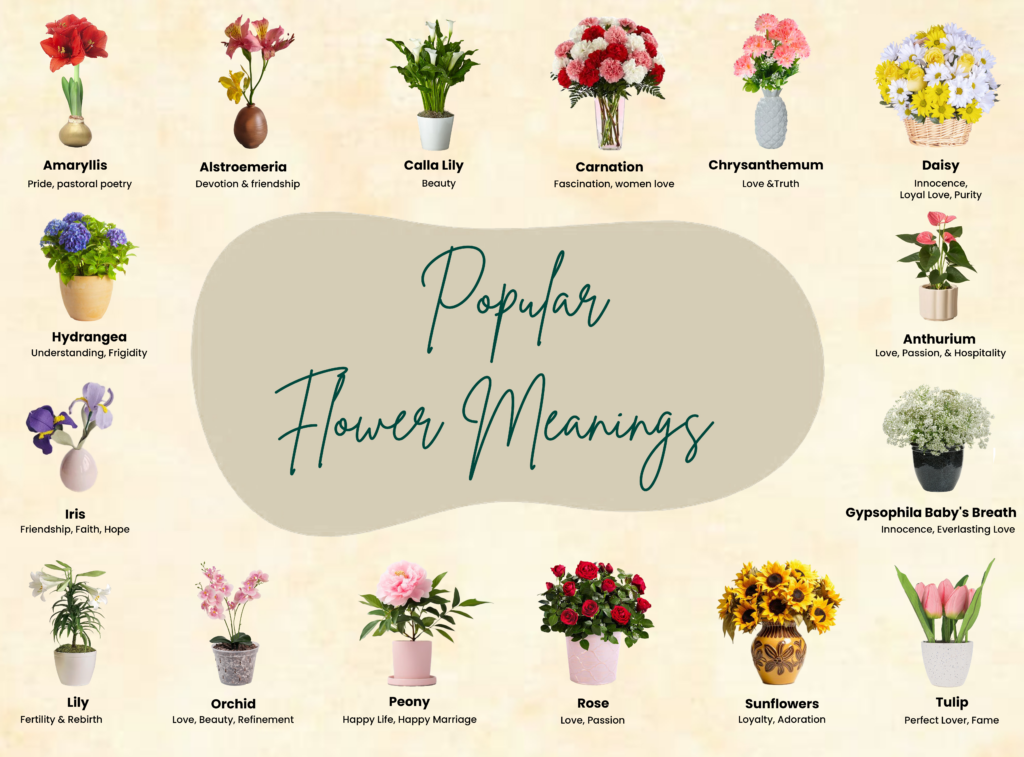 https://b2895521.smushcdn.com/2895521/wp-content/uploads/2024/12/Flower-meanings-chart-list-1024x757.png?lossy=0&strip=1&webp=1